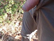 looking for a place to pee in the woods