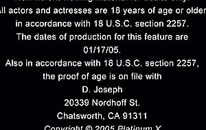 trina  michaels -  big  tit  anal  whores,  scene 2