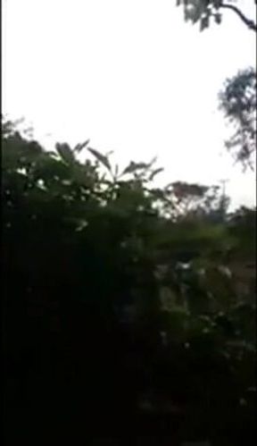 Big-Cock Latino Public Forest Masturbation Solo