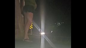 Zorrita sale a caminar, para exhibirse y ver si la cogen por putita