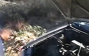 Orgy in the bang van