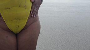 Beach camel