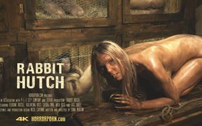 X Virtual 56 Rabbit Hutch in 180°