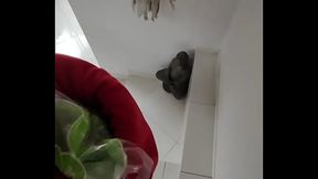 Public fantasy fuck scene