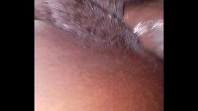 Rat head bahamain lil ting