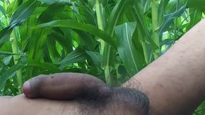 Worldwide Viral Desi Hunk Solo Action Vol 10 - Premium Faceless Amateur Close-up Intense Stroking Masterclass 4K
