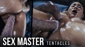 THE MASTER