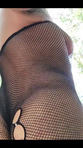 I Love Nets, Lace, Sheer