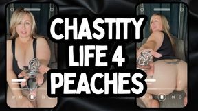 Chastity For Life