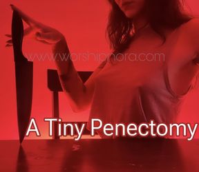 A Tiny Penectomy