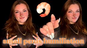 Small Penis Humiliation- SPH Pathetic Dick Cock Tiny Shrimp Bitch Clit Loser Beta Bitch Verbal Humiliation Degradation Sissy