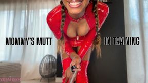 Mutt in Training