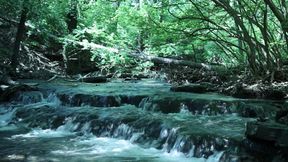 Flexing by the Waterfall, Trying to Sneak a Little Private Moment