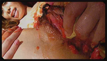 Food fucking with Mei Natsuka swallowing multiple cumshots