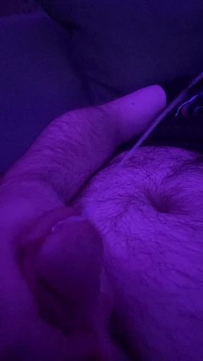 Bear Shooting Load