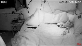 Horny Wife Masterbates for the Cam