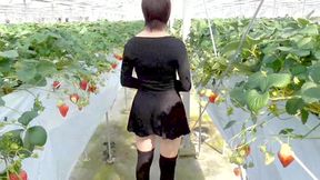 short Story Compilation Mayu No.44-46 Cosplay, Squirting, Deep Throat,, Convulsions, Exhibitionism, Semen Swallowing