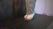 Stomped Under Her Dirty Sneakers - Cock Balls Crush Trample, Shoejob, Bootjob, CBT, Ballbusting, Trampling, Stomping