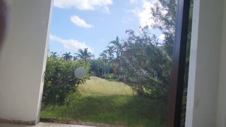 A little taste of our vacation in Cuba