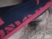 Le mando video a mi novia