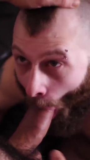 BEARFILMS - Donathan Dramis pounded by big bear after bj