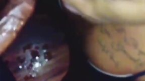 Ts cock suckers (bbc edition)