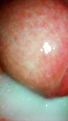Stunning moment from &quot;Servant girl do everything I say endoscope in pussy and creampie&quot;