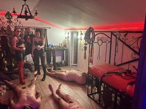 Mistress Zeida humiliates and waxes master's cock & balls
