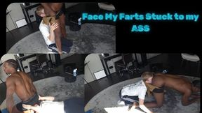 Face My Farts, Stuck to My Ass