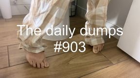The daily dumps #903 mp4
