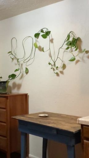 Jaw-dropping moment from &quot;All Natural Goddess Plays Around with Her Pothos (nudge nudge wink wink)&quot;