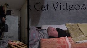 Facebox dancing with Alice (two cameras)