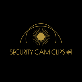 Security Cam Clips 1