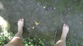 Marking the Forest Trails with my Pee