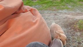 walking with my pet