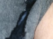 Horny leche nocturna