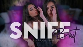 2$ SNIFF BAIT