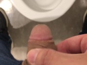 spy?-２　Infiltrate a public institution and pee