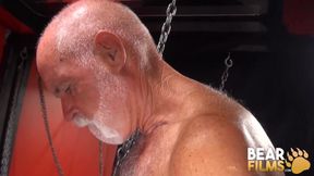 BEARFILMS hairy bears hart caldwell and John Stache raw breed