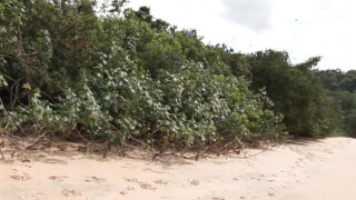 Xuất tinh, quan hệ không dùng bao cao su – gái mại dâm đồng tính bị hiếp dâm qua đường hậu môn