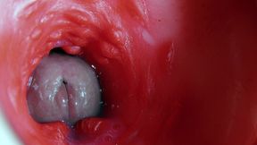 Super Quality Squelchy Wet Hole Asmr Camera Inside