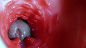 Super Quality Squelchy Wet Hole Asmr Camera Inside