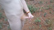 Quick nude cumshot in the woods as cars drive by!