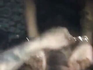Black teen gets pounded