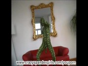 Flexi Sophie in spandex like a snake (clip)