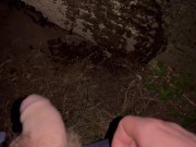 Desperate morning pee I had to find a tree to pee on