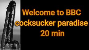 Welcome to BBC cocksucker paradise