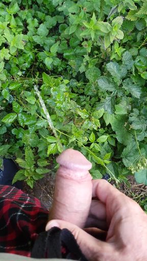 Pissing in the field