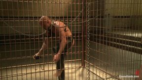 Caged and Fucked Like an Animal