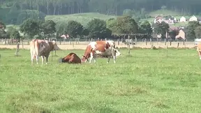 Farmer outdoor blowjob - German